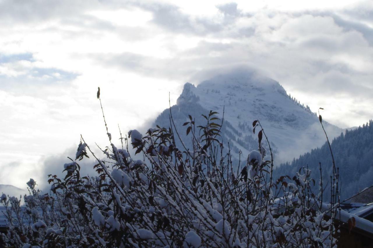 Studio Le Marquis 2 Morzine Exterior foto